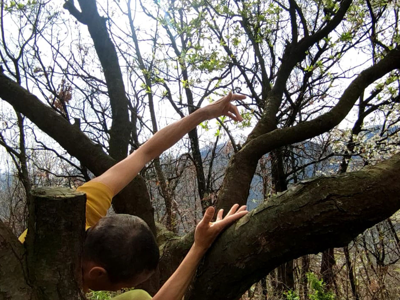 rami-ora-2025_danzare-gli-alberi_2