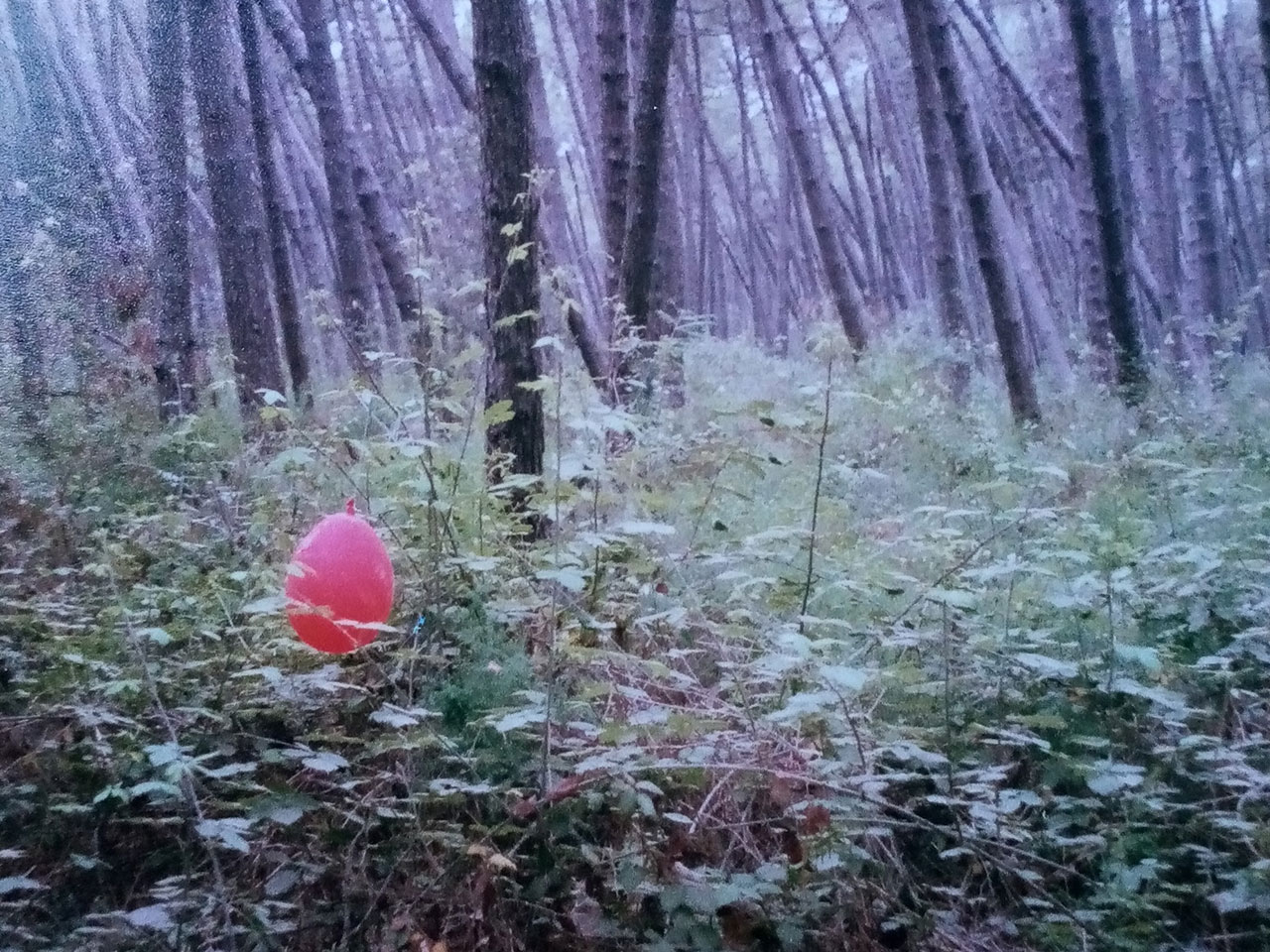 rami-ora-2025_senza-fine_1